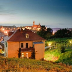 Rebenhaus Meißen - Bild 1