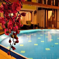 Hotel Und Appartementhof Waldeck - Bild 18