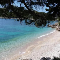 Guest House Medine thumbnail 10