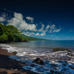 Taveuni Dive Resort thumbnail 8