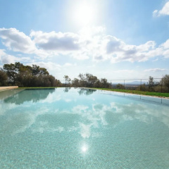 Finca Son Oms - Bild 12