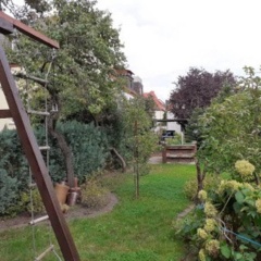 Gemütliche zentrumsnahe Ferienwohnungen mit Gemeinschaftsgarten - Bild 1