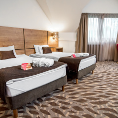 Rubin Wellness & Conference Hotel - Bild 6