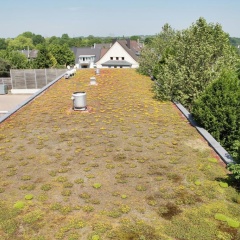 Petul Apart Hotel Stadtgarten - Bild 11