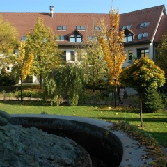 Rubin Wellness & Conference Hotel - Bild 18