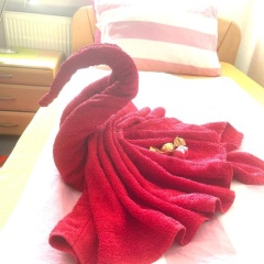 Tarida`Guesthouse - Bild 3