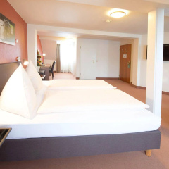 TOP EMBRACE Hotel Vinum Trier - Bild 5