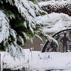 FeWo Harz Haennig 1 - Bild 7