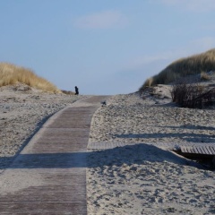 Klabautermann Maywald - Bild 12