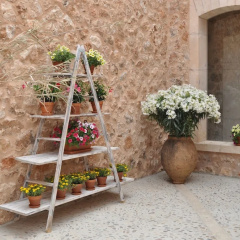 Finca Alegria - Bild 15