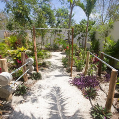 Los Amigos Tulum thumbnail 26
