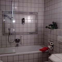 Hotel Weisses Ross - Bild 8