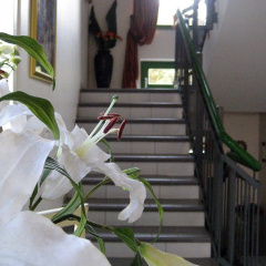 Schlossgarten Hotel am Park Sanssouci - Bild 9