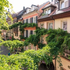 Kreuzblume Hotel & Restaurant - Bild 1