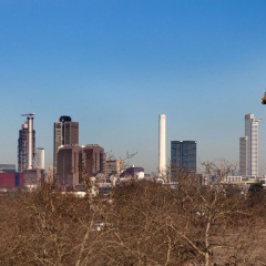 Paragon Apartments - Bild 15