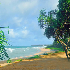 The Beach Cabanas thumbnail 21