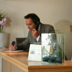 Alleenhof - Bild 8