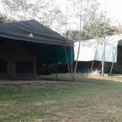 Cactus Eco Camp and Lodge in Nakuru, Kenya from 60$, photos, reviews - zenhotels.com photo 15