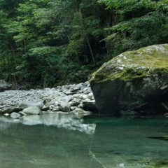 Gasthof Zillertal - Bild 14