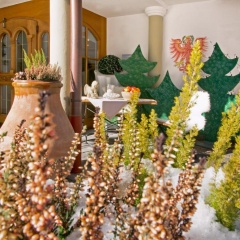 Thalerhof - Bild 9