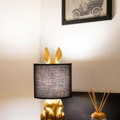 Guicciardini Apartment thumbnail 14