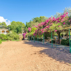 Finca Son Pou in Palma - Bild 18