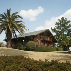 Sunny Day Jeju Pension thumbnail 42