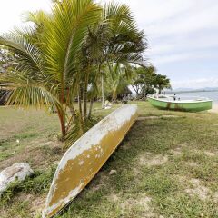 Vatia Beach Lodge in Viti Levu, Fiji from 111$, photos, reviews - zenhotels.com photo 28