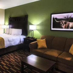 Comfort Inn & Suites Beeville thumbnail 25
