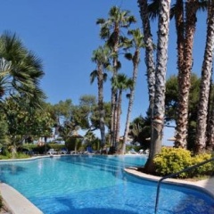allsun App.-Hotel Orquidea Playa - Bild 11