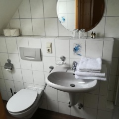 Schwarzwaldgasthaus Salenhof - Bild 11