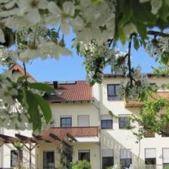 Weingut Sandwiese Winzerhotel - Bild 7