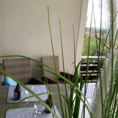 Harz 21 - Bild 8