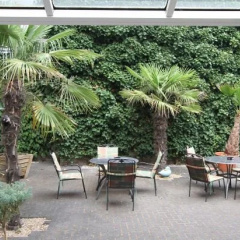 Mado - Bild 14