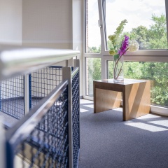Hotel Königstein Kiel by Tulip Inn - Bild 7