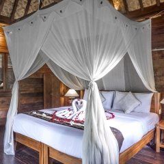 DD Ubud Jungle Villa - Bild 1