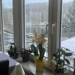 Pension Haus am See - Bild 8