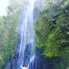 Hospedaje Bananas in Ometepe Island, Nicaragua from 121$, photos, reviews - zenhotels.com photo 20