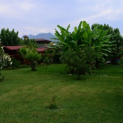 Ozge Hotel Bungalow - Bild 5