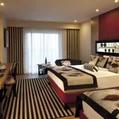 Delphin Imperial - Bild 3