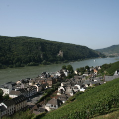 Rheinhotel Lamm - Bild 10