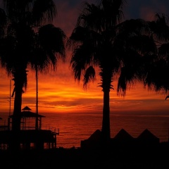 Seagull Hotel - Bild 15
