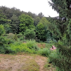 Sophienaue - Bild 8