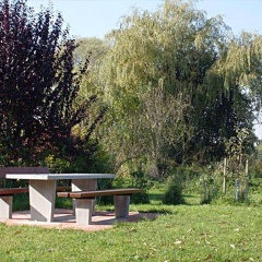 Gäste- und Boardinghaus Klara Birnbaum - Bild 14