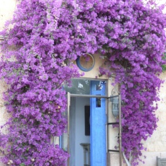 Villa Station Las Salinas - Bild 1