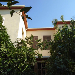Lotus Garden Hostel - Bild 1