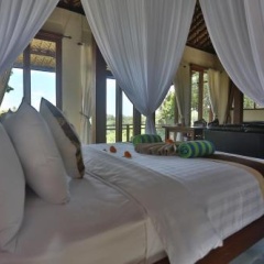 Bali Ubud Villa View - Bild 4