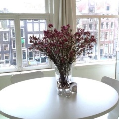 Miauw Suites - Bild 4