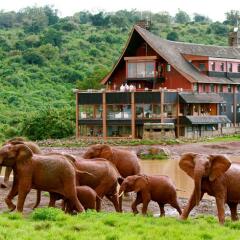 The Ark Lodge in Aberdare National Park, Kenya from 272$, photos, reviews - zenhotels.com photo 3