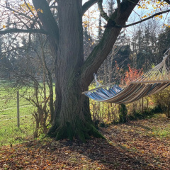 NED Haus - Bild 15